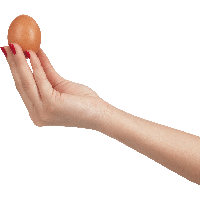 Egg In Hand Png Image