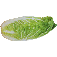 Salad Png Image
