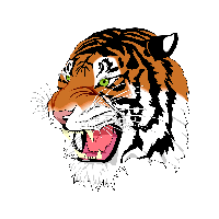 Tiger Png Image Download Tigers