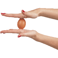 Egg In Hands Png Image