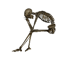 Skeleton Png Image