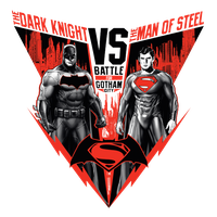 Batman V Superman Dawn Of Justice Picture