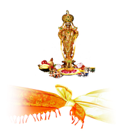 Venkateswara