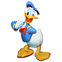 Donald Duck File