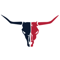 Houston Texans Transparent Image