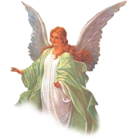 Angel Transparent Background