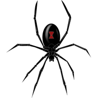 Black Widow Spider Clipart