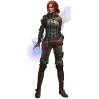 The Witcher Transparent Picture