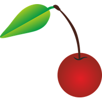 Cherry Vector Image