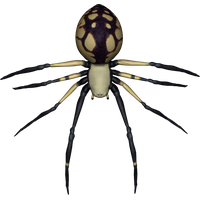 Spider Transparent Image