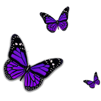 Purple Butterfly Transparent Image