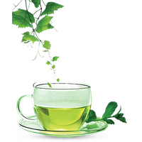 Green Tea Clipart