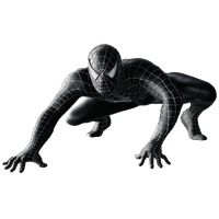 Spiderman Black Image