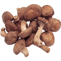 Mushrooms Png Image