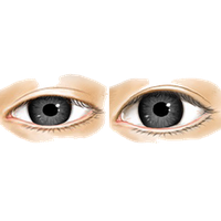 Real Eye Clipart