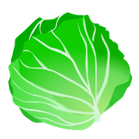 Cabbage Clip Art