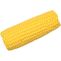 Corn Cob Clipart