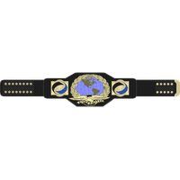 Wrestling Belt Image