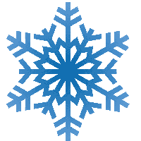 Frozen Snowflake Image