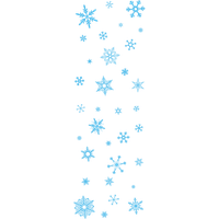 Frozen Snowflake Picture