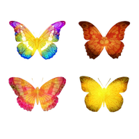 Butterflies Vector Hd