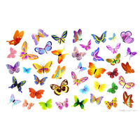 Butterflies Vector File