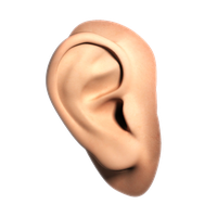 Human Ear File