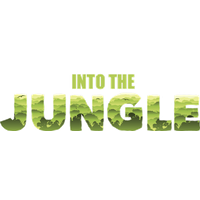 Jungle Transparent