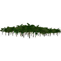 Jungle Transparent Background
