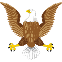 Eagle Symbol Image