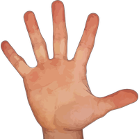 Hand With Five Fingers