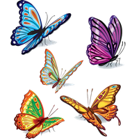 Butterflies Vector Image
