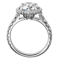 Silver Ring Transparent Picture
