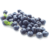 Blueberry Clipart