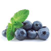 Blueberry Transparent