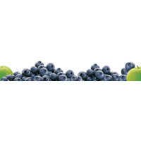 Blueberry Transparent Image