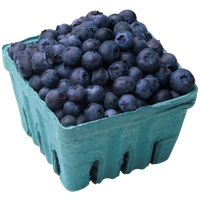 Blueberry Image