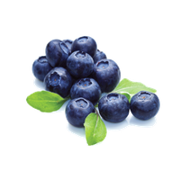 Blueberry File