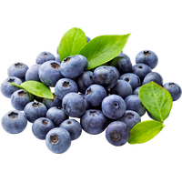 Blueberry Free Download