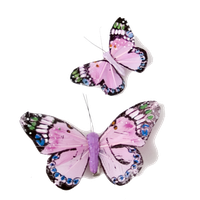 Pink Butterfly Transparent