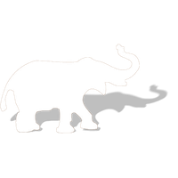White Elephant File