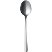Steel Spoon Image