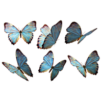 Flying Butterflies Image