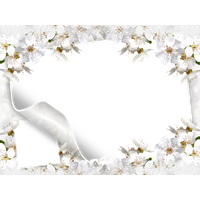White Flower Frame Picture
