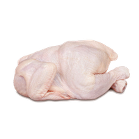Chicken Meat File
