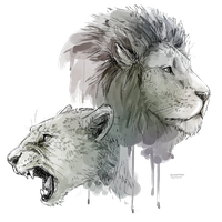 Lioness Roar Transparent Background