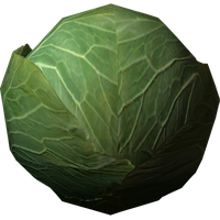 Cabbage With Transparent Background