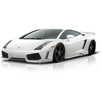 Lamborghini Gallardo Picture