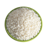 Rice File