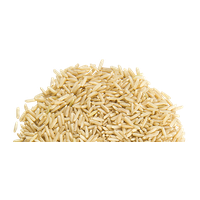 Rice Image